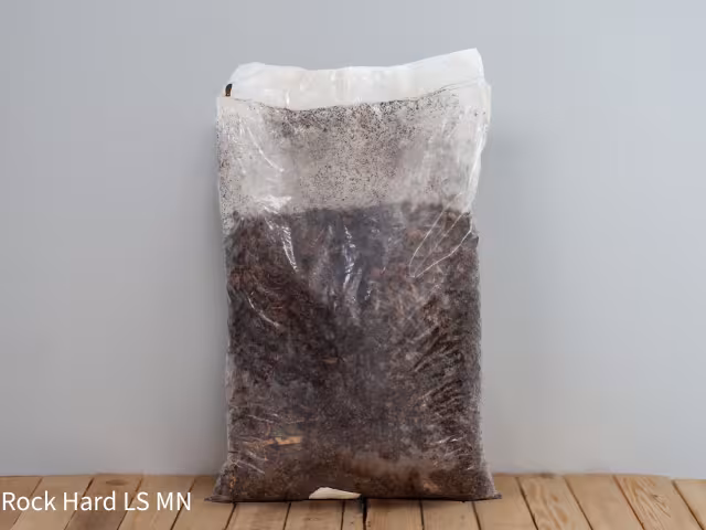 Bagged Pine Bark (2 CF bag)