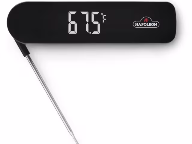 Fast Read LED Thermoter 70048