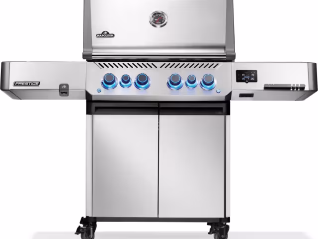 Prestige P500VXRSIBPSS - Propane