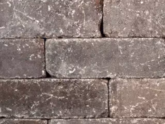 Strassen Wall Trap 4x8 Iron Range