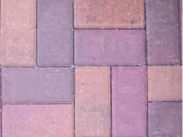 Holland 4x8 Autumn Blend