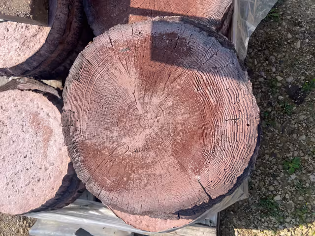 Tree Round Stepping Pad Medium 18"