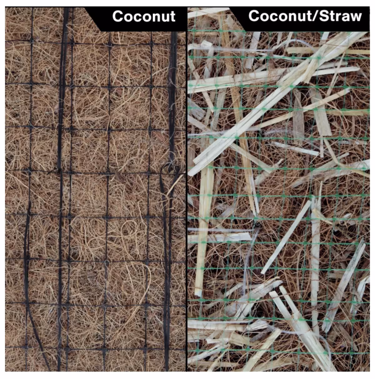 Coconut Blanket 8'x112.5FT Single Net