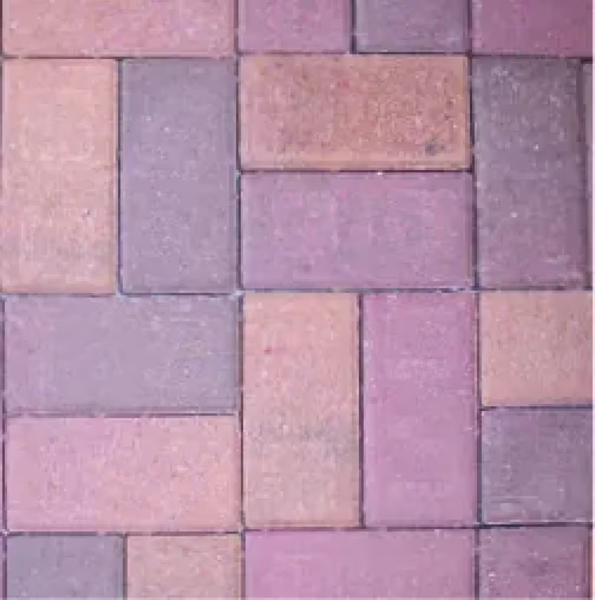 Holland 4x8 Autumn Blend