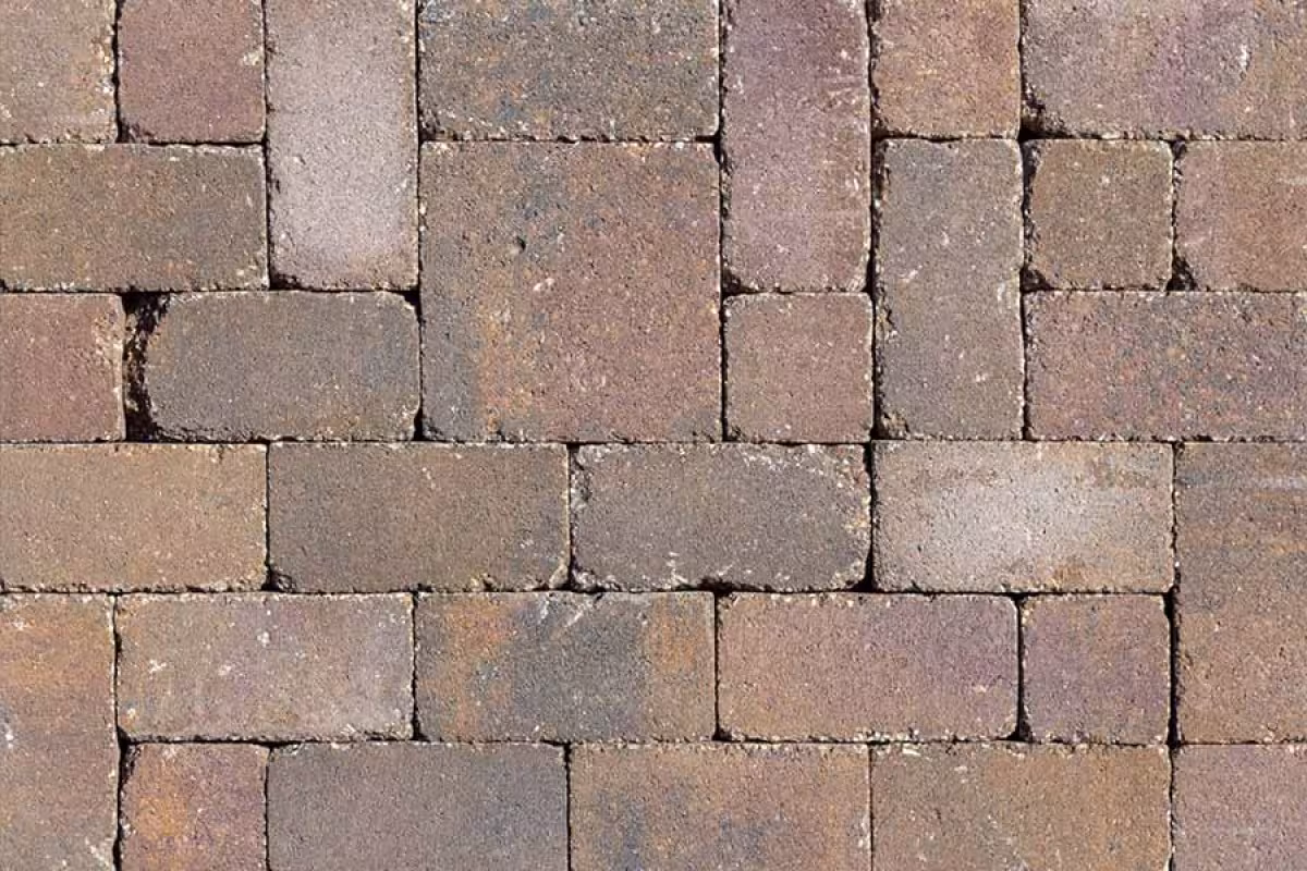 Lakeland Wall Standard Beechwood