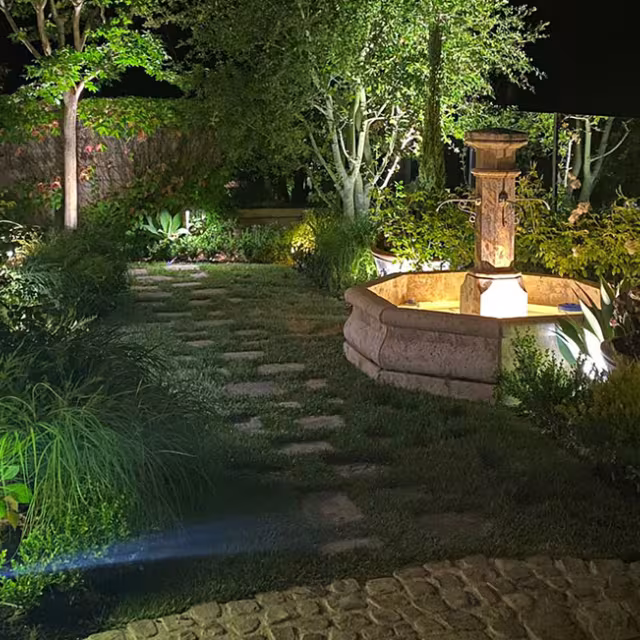 Alliance Lighting Training