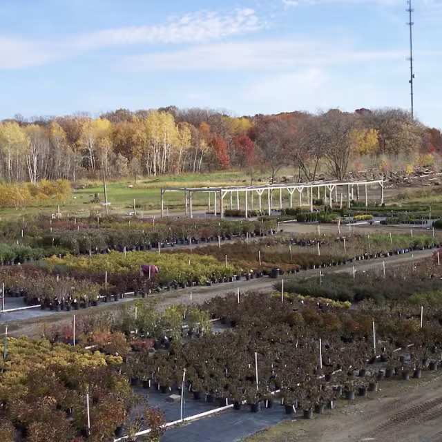 Quarry Creek Nursery
