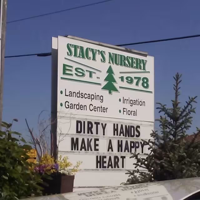 Stacy's Nursery