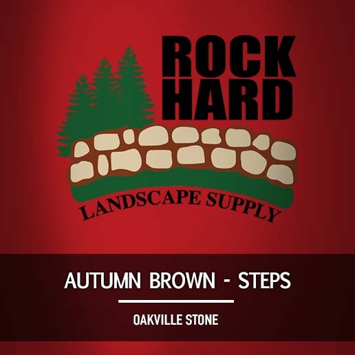 Autumn Brown Steps